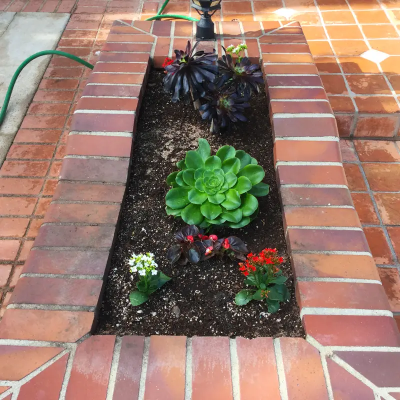 All Seasons Garden & Planting project in Orange County