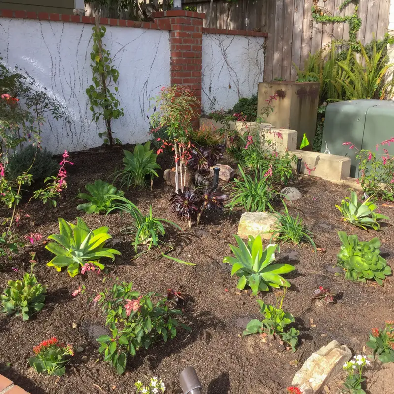 All Seasons Garden & Planting project in Orange County