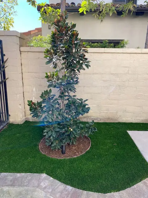 All Seasons Garden & Planting project in Orange County