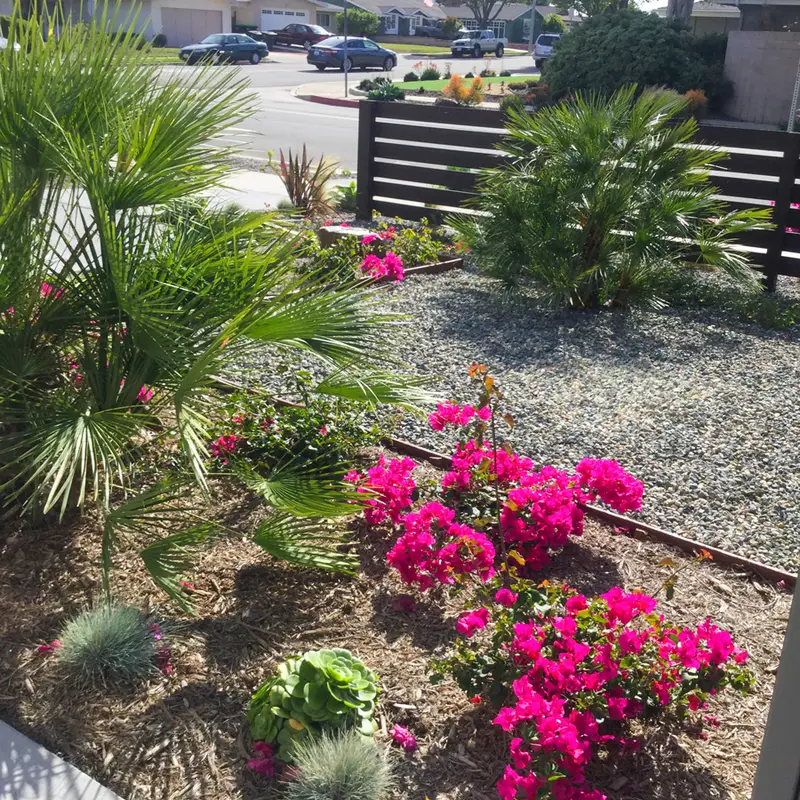 All Seasons Garden & Planting project in Orange County