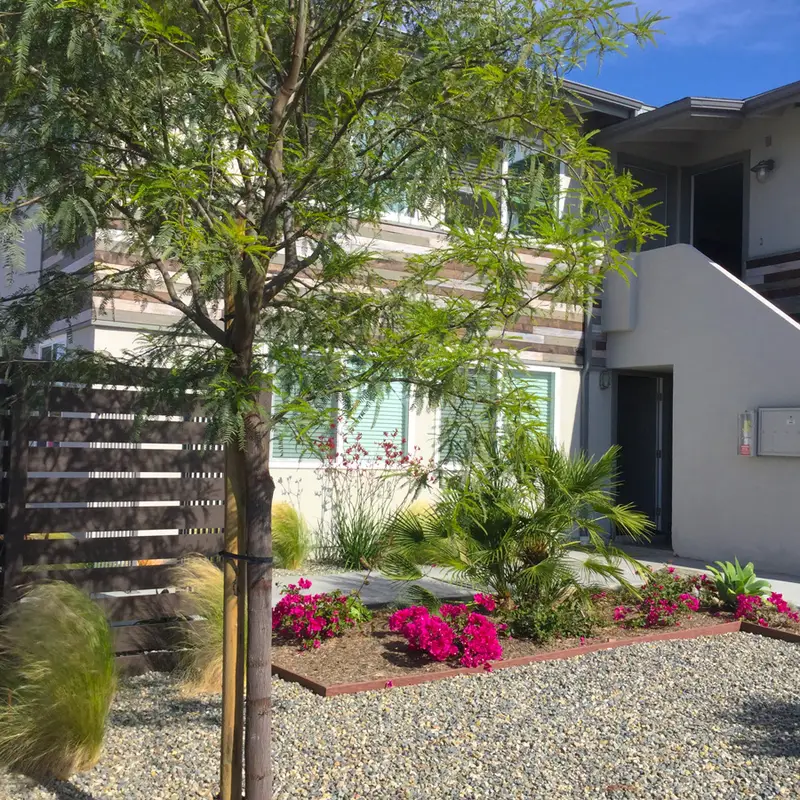 All Seasons Landscape Design, Garden & Planting project in Orange County
