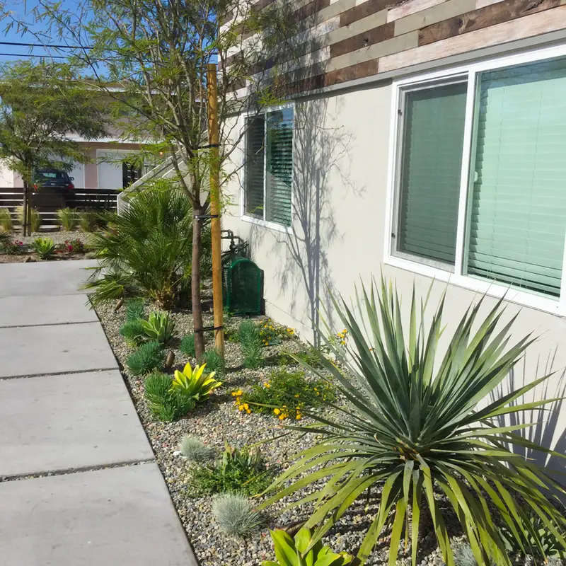 All Seasons Landscape Design, Garden & Planting project in Orange County