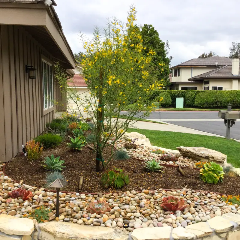 All Seasons Landscape Design, Garden & Planting project in Orange County